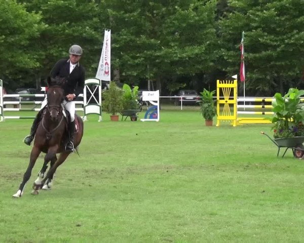 Reitturnier Zobbenitz 2016