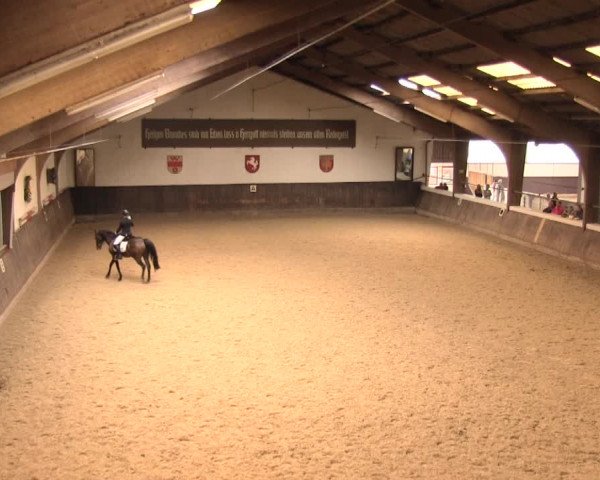 Reitturnier Olfen-Vinnum 2016