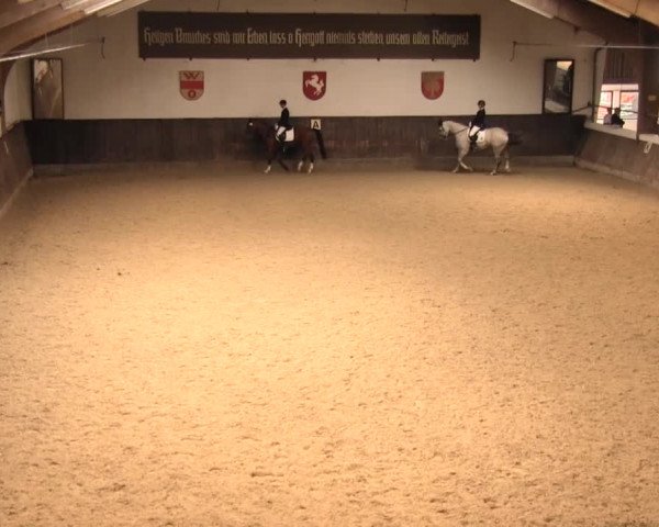 Reitturnier Olfen-Vinnum 2016