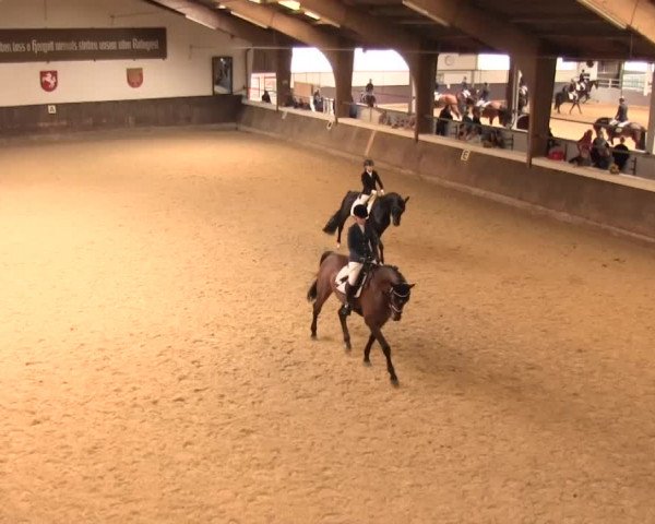 Reitturnier Olfen-Vinnum 2016
