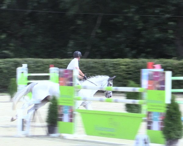Reitturnier Olfen-Vinnum 2016