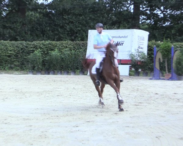 Reitturnier Olfen-Vinnum 2016