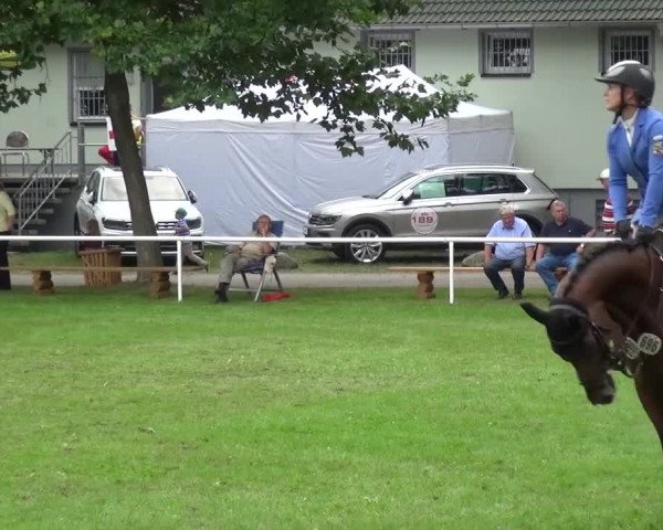 Reitturnier Zobbenitz 2016