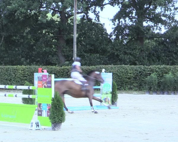 Reitturnier Olfen-Vinnum 2016