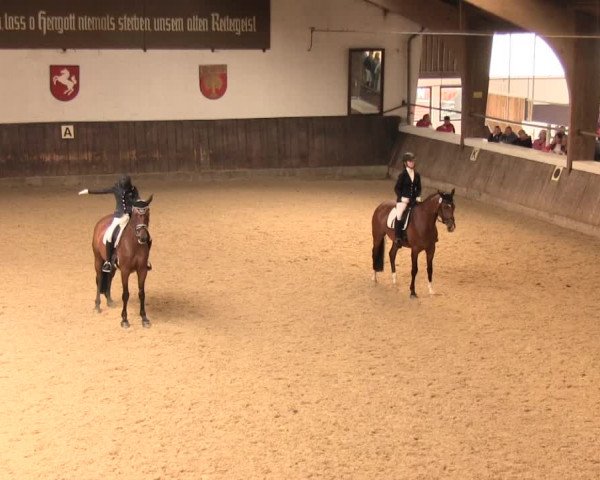 Reitturnier Olfen-Vinnum 2016