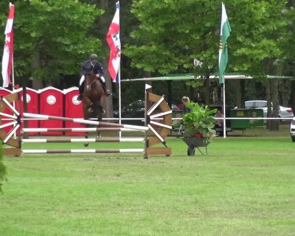 Reitturnier Zobbenitz 2016