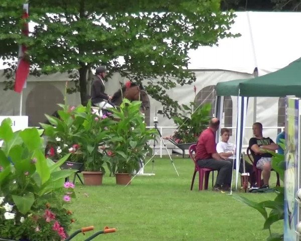 Reitturnier Zobbenitz 2016