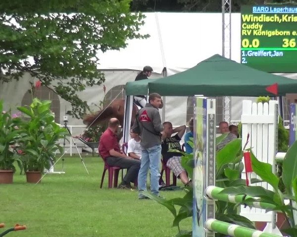 Reitturnier Zobbenitz 2016