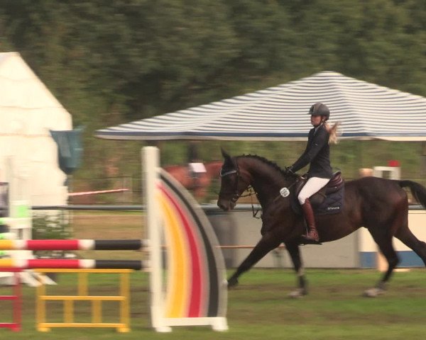 Reitturnier Petershagen-Eldagsen 2016