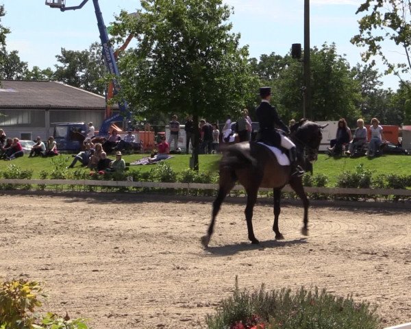 Reitturnier Olfen-Vinnum 2016