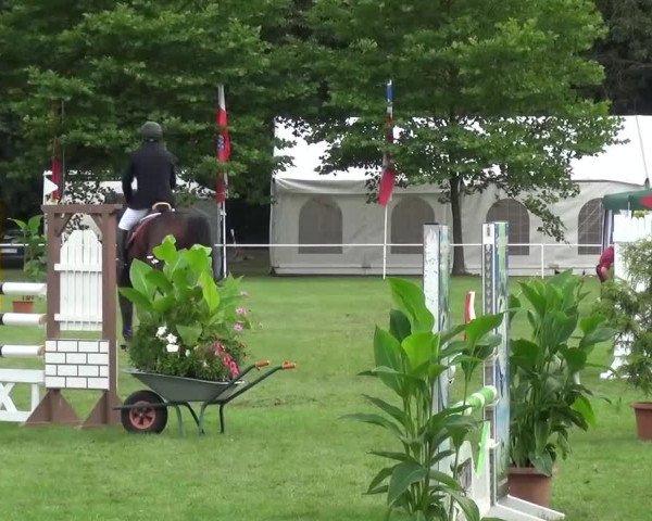 Reitturnier Zobbenitz 2016
