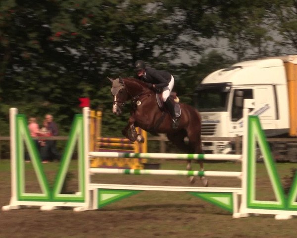 Reitturnier Petershagen-Eldagsen 2016