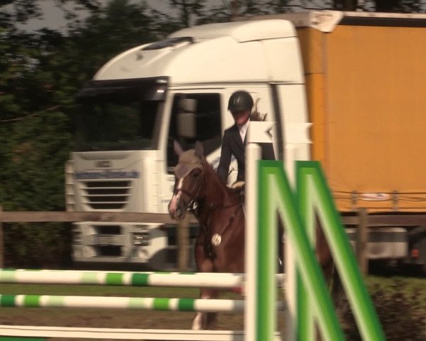 Reitturnier Petershagen-Eldagsen 2016