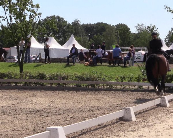 Reitturnier Olfen-Vinnum 2016