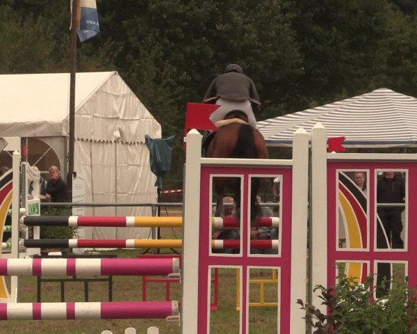 Reitturnier Petershagen-Eldagsen 2016