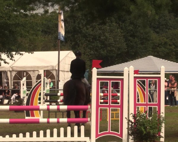 Reitturnier Petershagen-Eldagsen 2016