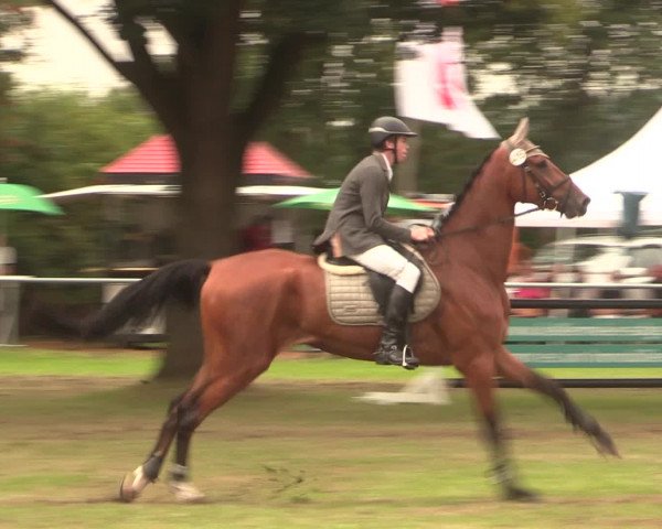 Reitturnier Petershagen-Eldagsen 2016