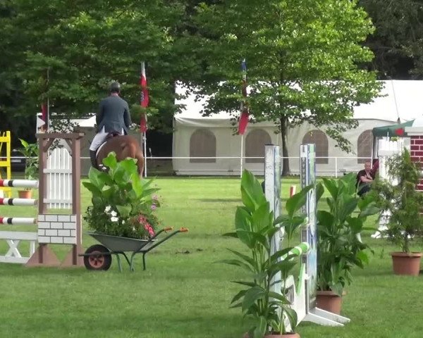 Reitturnier Zobbenitz 2016