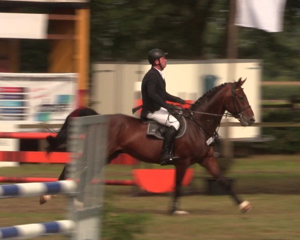 Reitturnier Petershagen-Eldagsen 2016