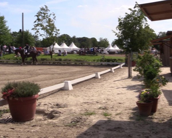 Reitturnier Olfen-Vinnum 2016