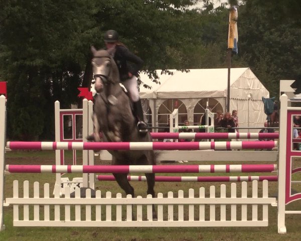 Reitturnier Petershagen-Eldagsen 2016