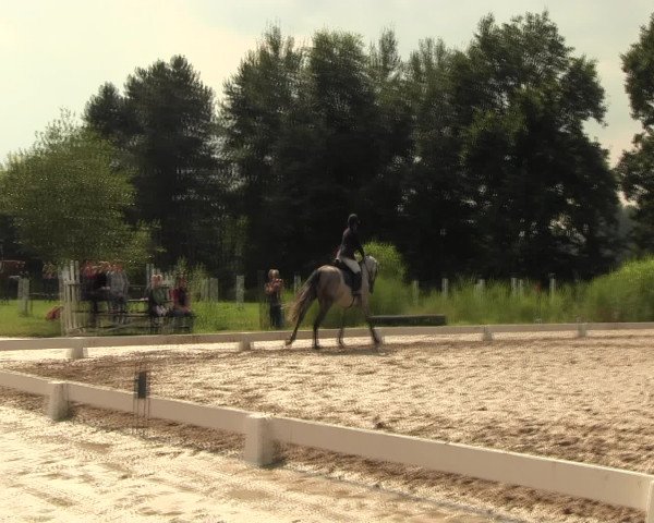 Reitturnier Olfen-Vinnum 2016