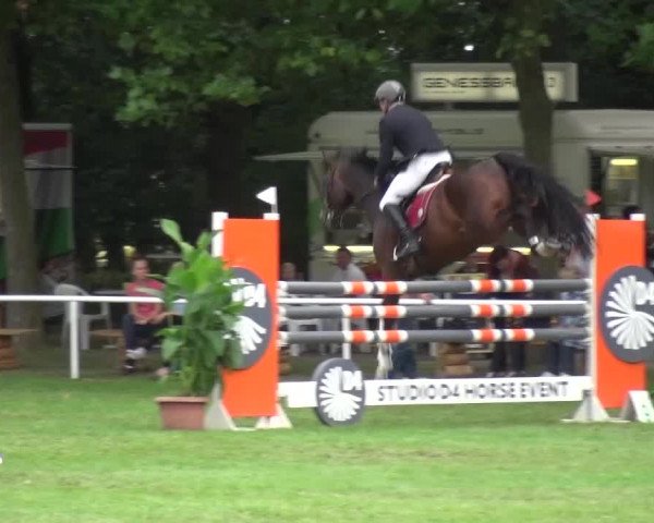 Reitturnier Zobbenitz 2016