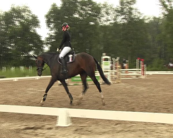 Reitturnier Olfen-Vinnum 2016
