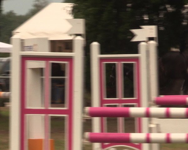 Reitturnier Petershagen-Eldagsen 2016