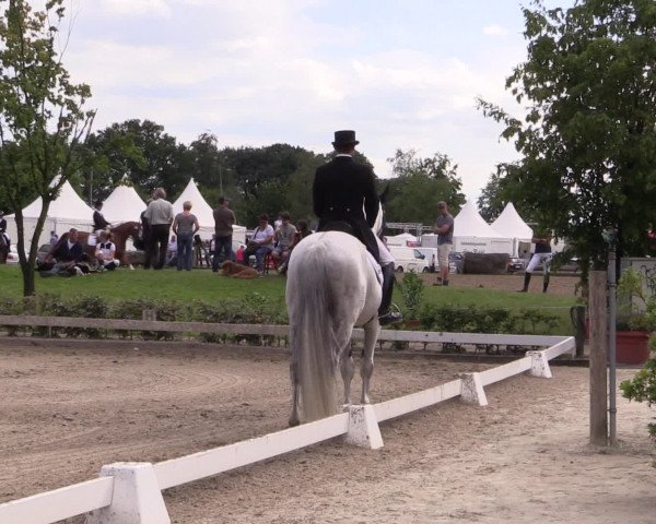 Reitturnier Olfen-Vinnum 2016