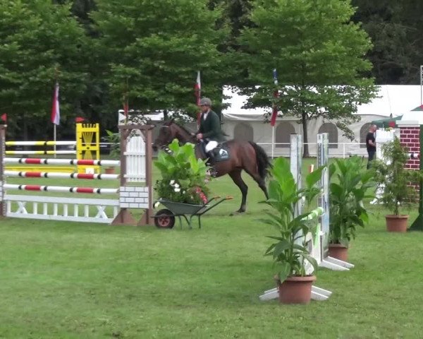 Reitturnier Zobbenitz 2016