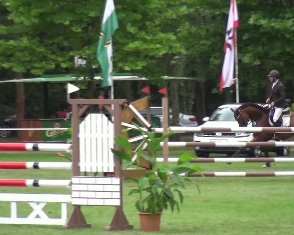 Reitturnier Zobbenitz 2016