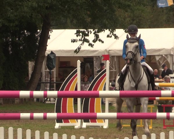 Reitturnier Petershagen-Eldagsen 2016