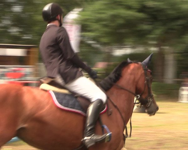 Reitturnier Petershagen-Eldagsen 2016