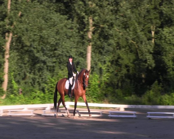 Reitturnier Olfen-Vinnum 2016