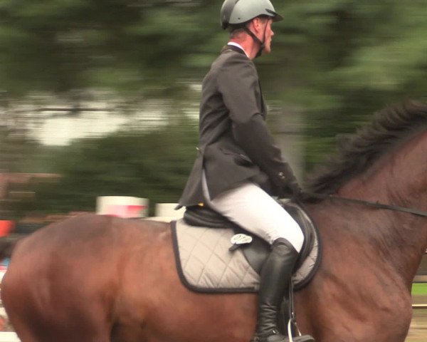 Reitturnier Petershagen-Eldagsen 2016
