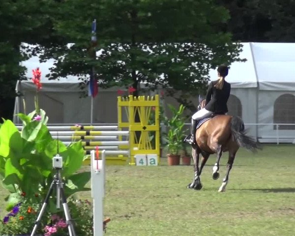 Reitturnier Zobbenitz 2016