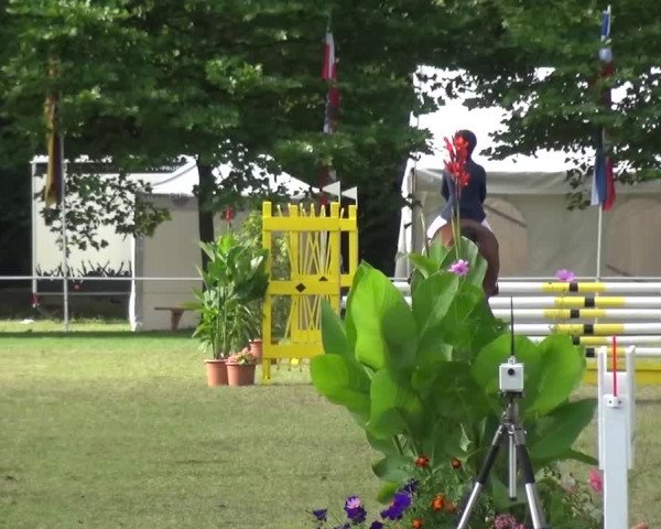 Reitturnier Zobbenitz 2016