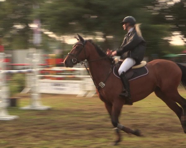 Reitturnier Petershagen-Eldagsen 2016