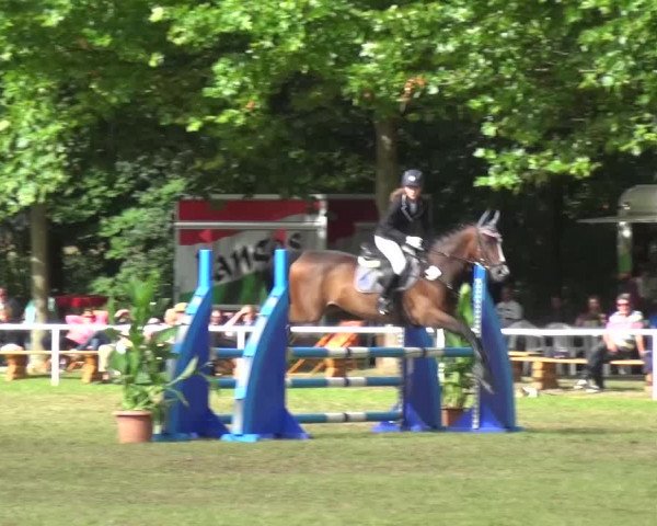 Reitturnier Zobbenitz 2016