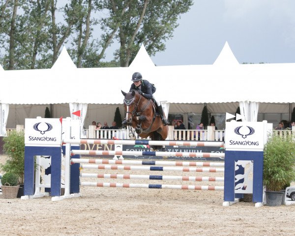 jumper Call Me Buby (Westphalian, 2013, from Cassitano)