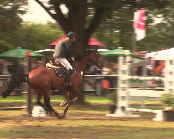 Reitturnier Petershagen-Eldagsen 2016