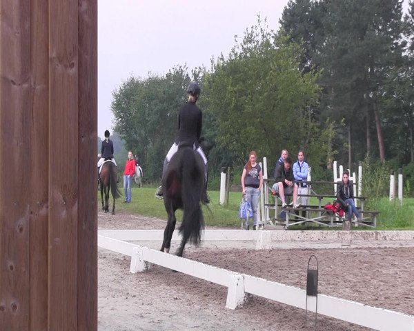 Reitturnier Olfen-Vinnum 2016