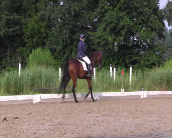 Reitturnier Olfen-Vinnum 2016
