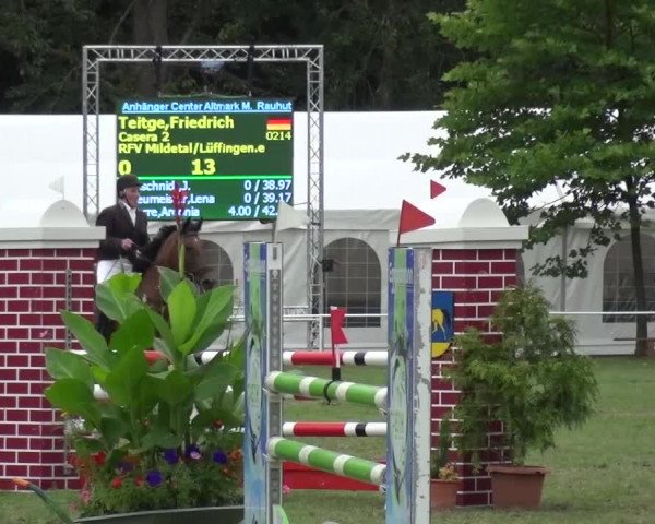 Reitturnier Zobbenitz 2016