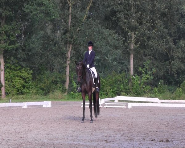 Reitturnier Olfen-Vinnum 2016