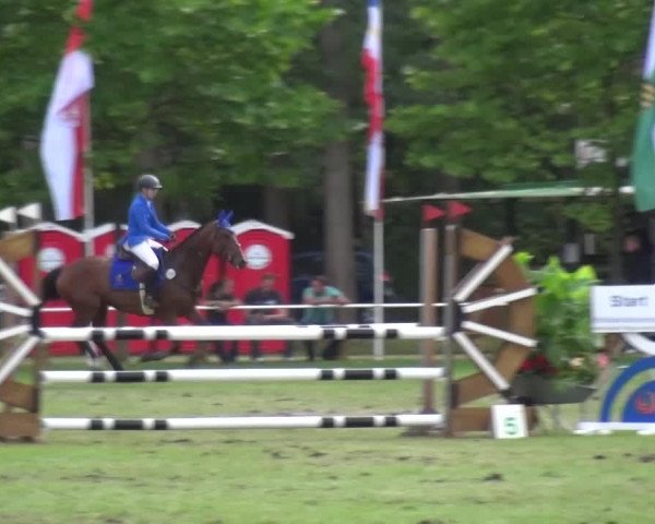 Reitturnier Zobbenitz 2016