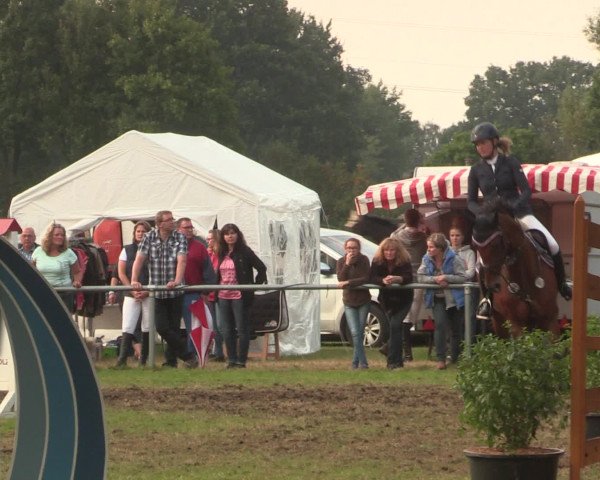 Reitturnier Petershagen-Eldagsen 2016