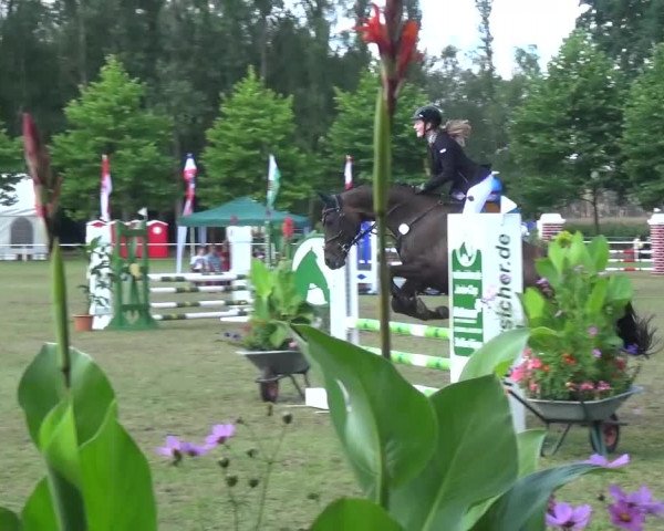 Reitturnier Zobbenitz 2016
