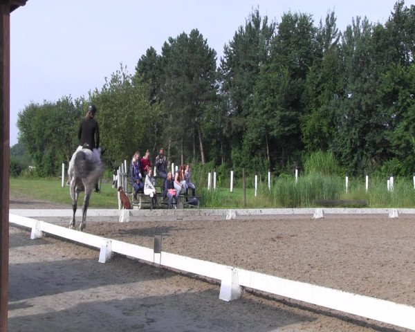 Reitturnier Olfen-Vinnum 2016